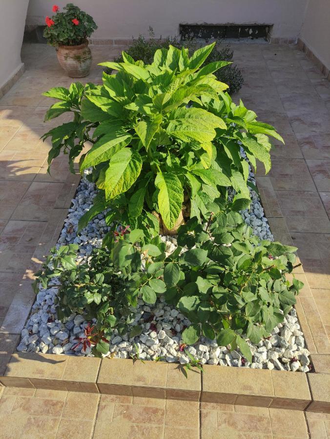 # 6 Giorgos & Chara Apartments Nea Kydonia Dış mekan fotoğraf